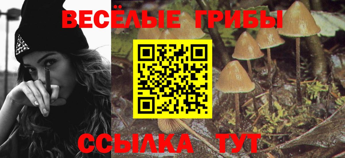 Галлюциногенные грибы Cubensis  Вход с VPN  наркошоп  Кисловодск 
