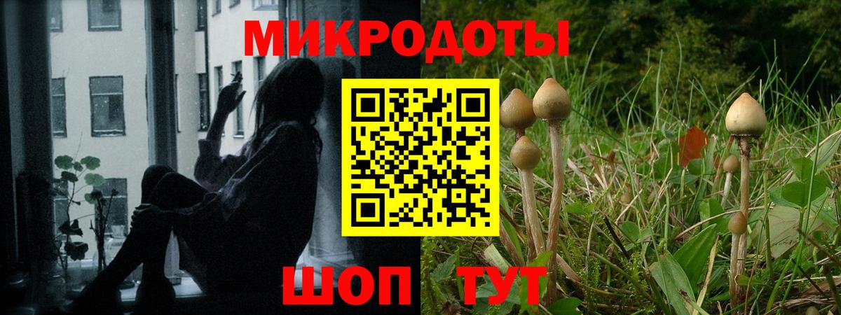 Галлюциногенные грибы мухоморы Кисловодск